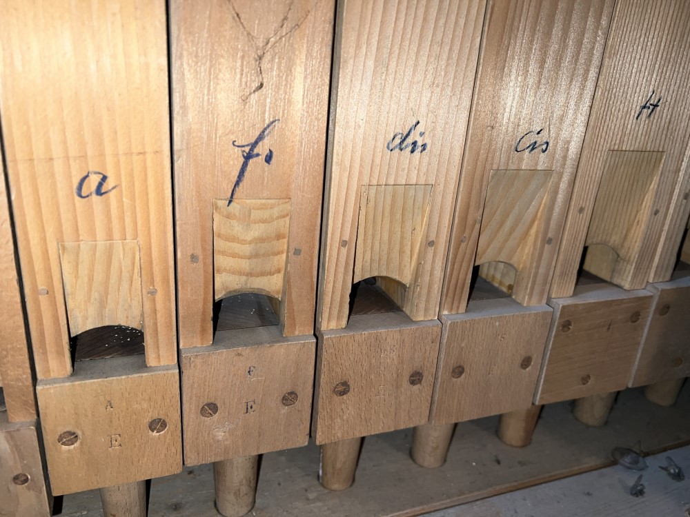 Holzpfeifen Maerz-Orgel