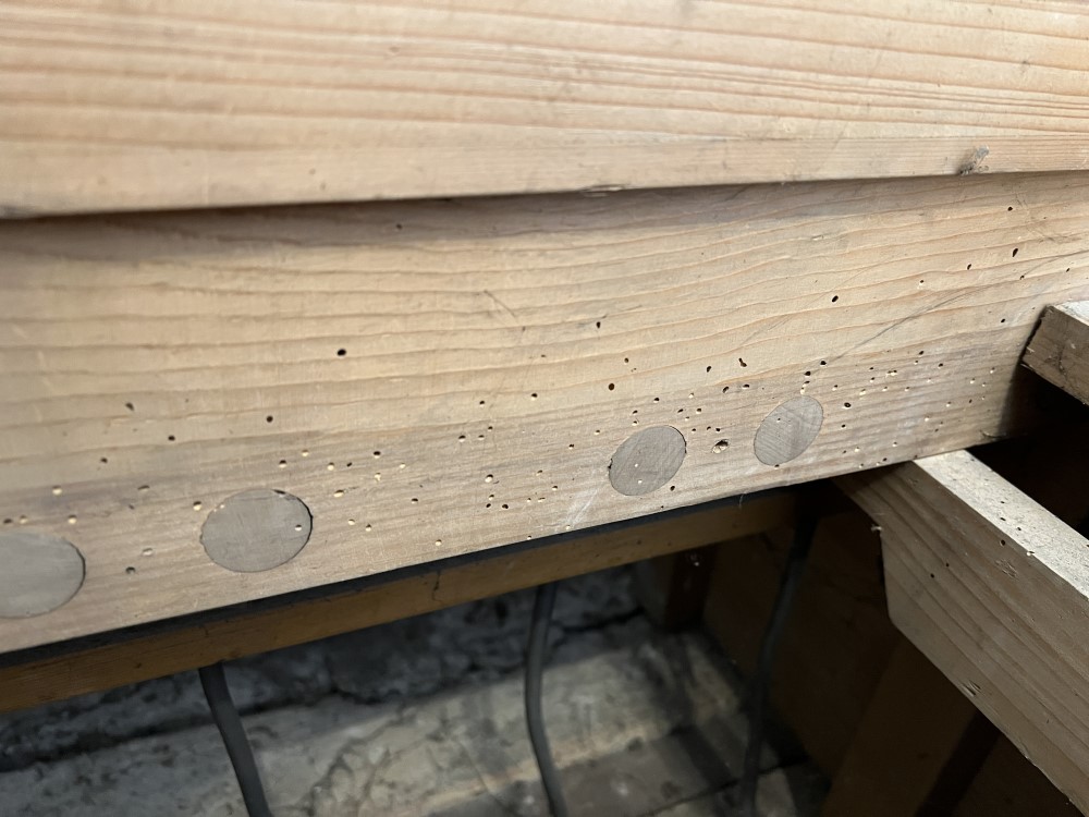 Restaurierung Holzwurm